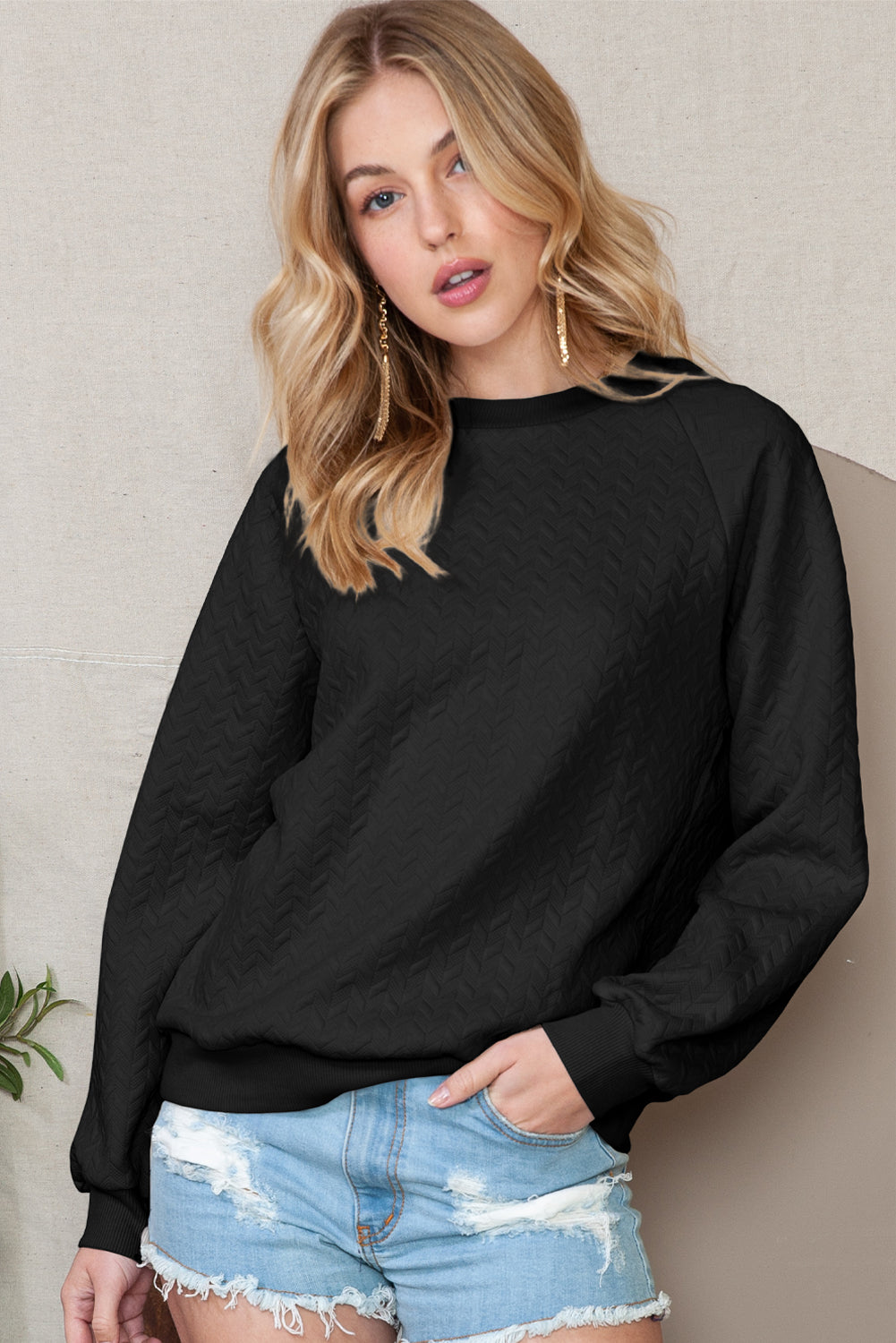 Solid Color Textured Raglan Sleeve Pullover Sweatshirt