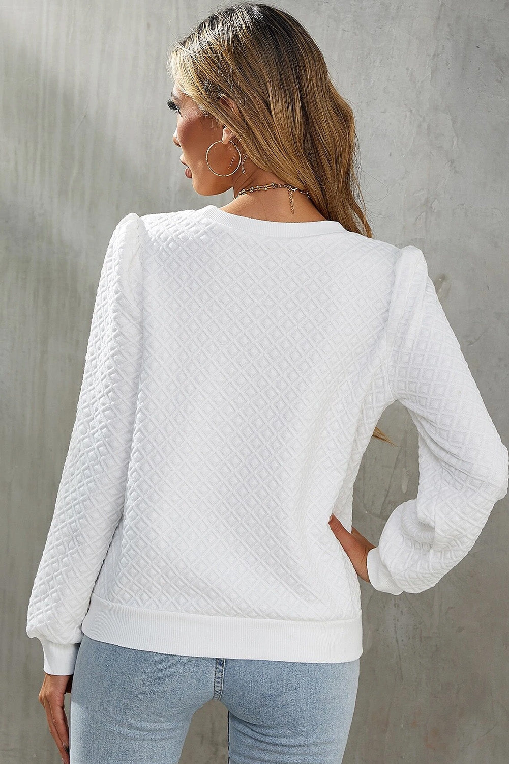 Textured Puff Long Sleeve Round Neck Top