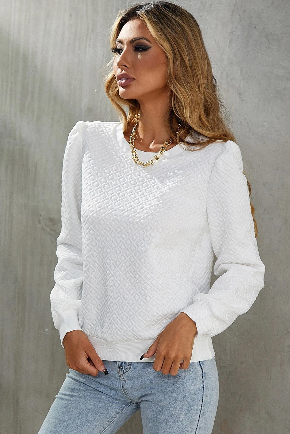 Textured Puff Long Sleeve Round Neck Top