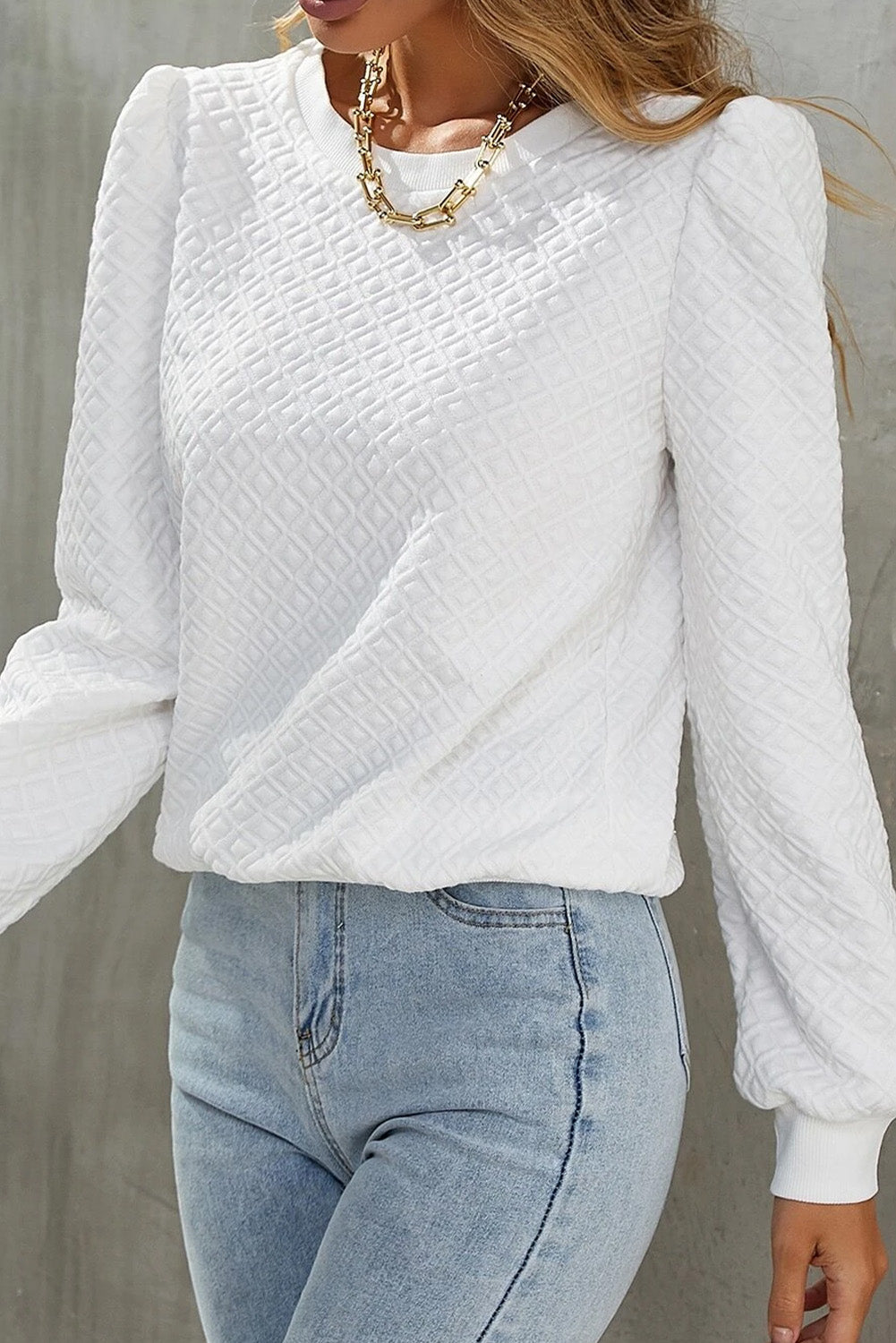 Textured Puff Long Sleeve Round Neck Top